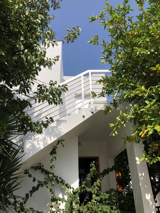 Katalimata Court Lejlighed Ayia Napa Eksteriør billede